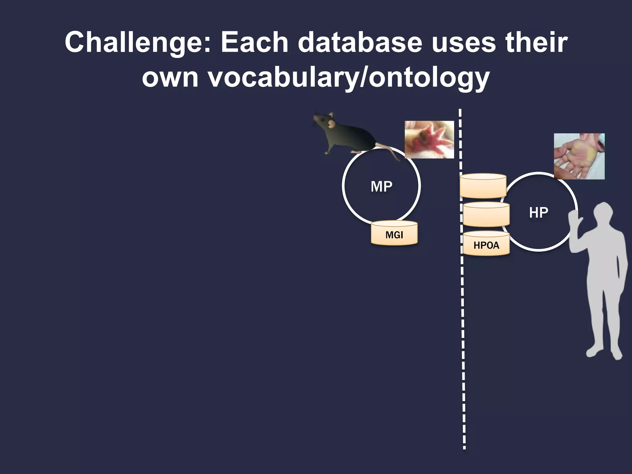 Challenge: Each database uses their
own vocabulary/ontology
MP
HP
MGI
HPOA
 
