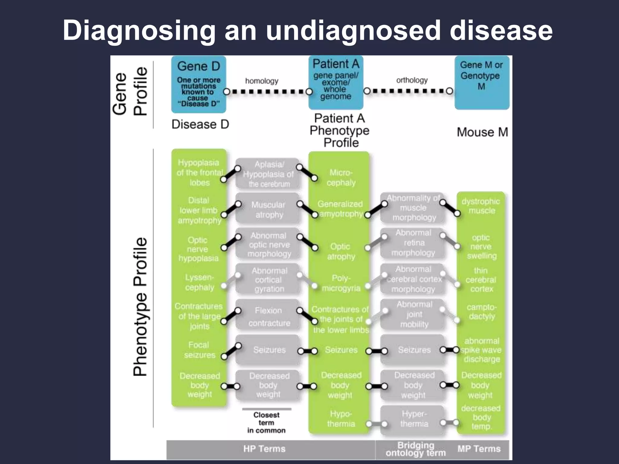 Diagnosing an undiagnosed disease
 