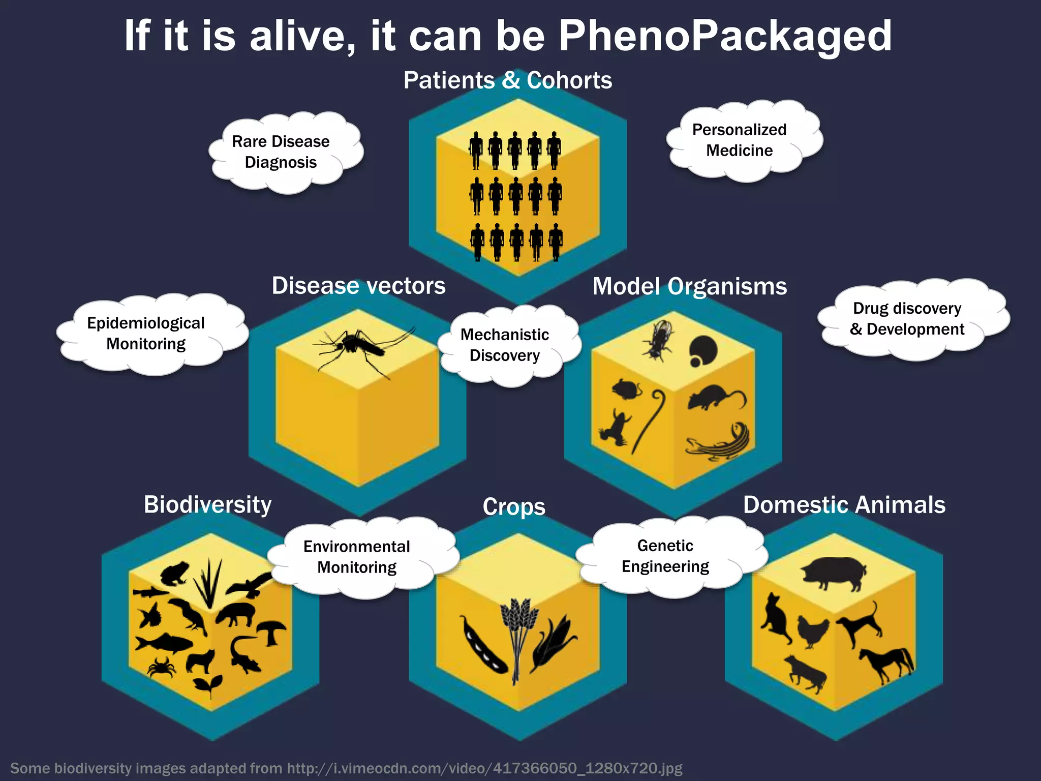 If it is alive, it can be PhenoPackaged
Some biodiversity images adapted from http://i.vimeocdn.com/video/417366050_1280x720.jpg
Model Organisms
Biodiversity Crops Domestic Animals
Disease vectors
Epidemiological
Monitoring
Drug discovery
& Development
Rare Disease
Diagnosis
Personalized
Medicine
Environmental
Monitoring
Patients & Cohorts
Genetic
Engineering
Mechanistic
Discovery
 