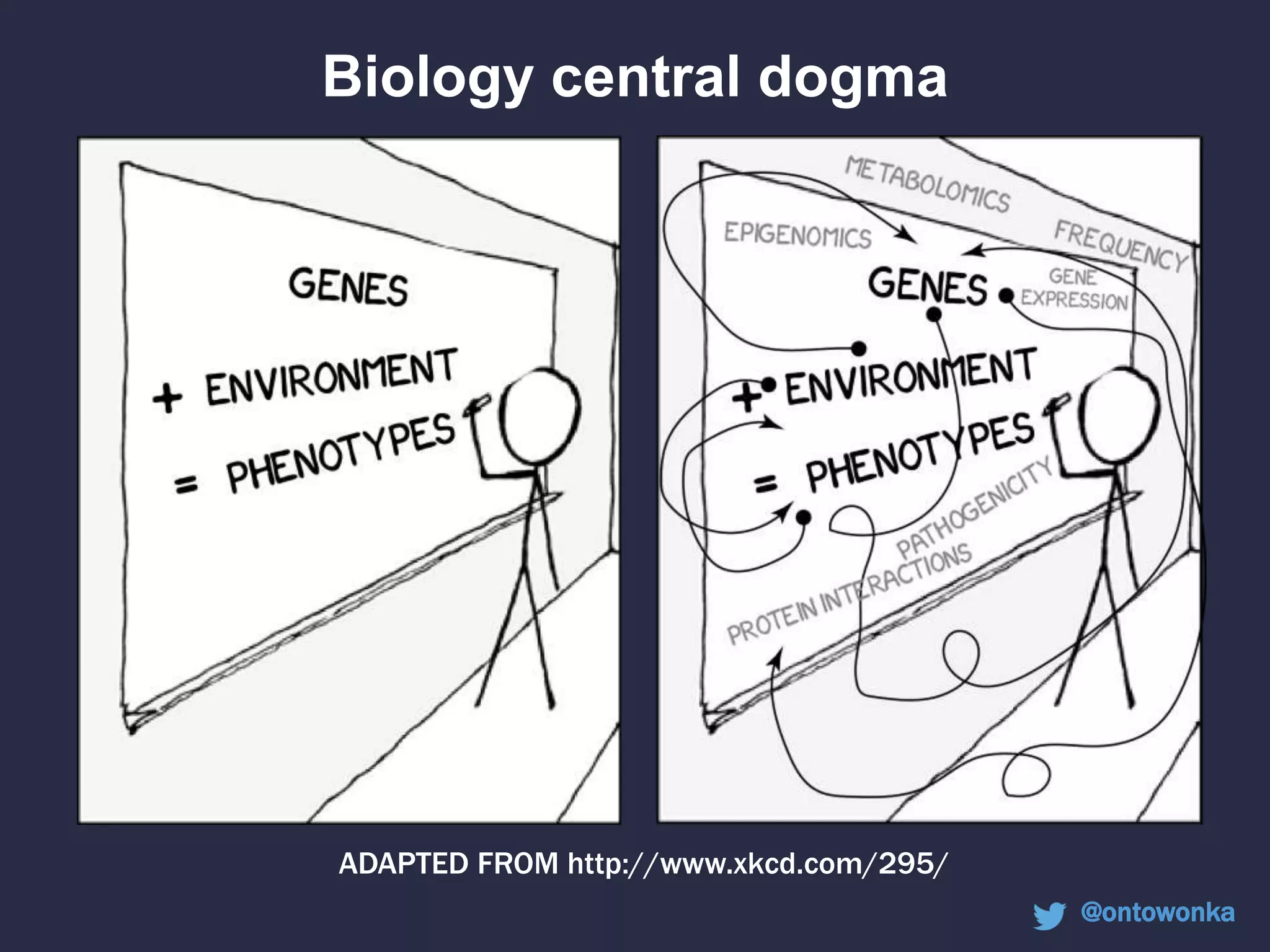 Biology central dogma
ADAPTED FROM http://www.xkcd.com/295/
@ontowonka
 