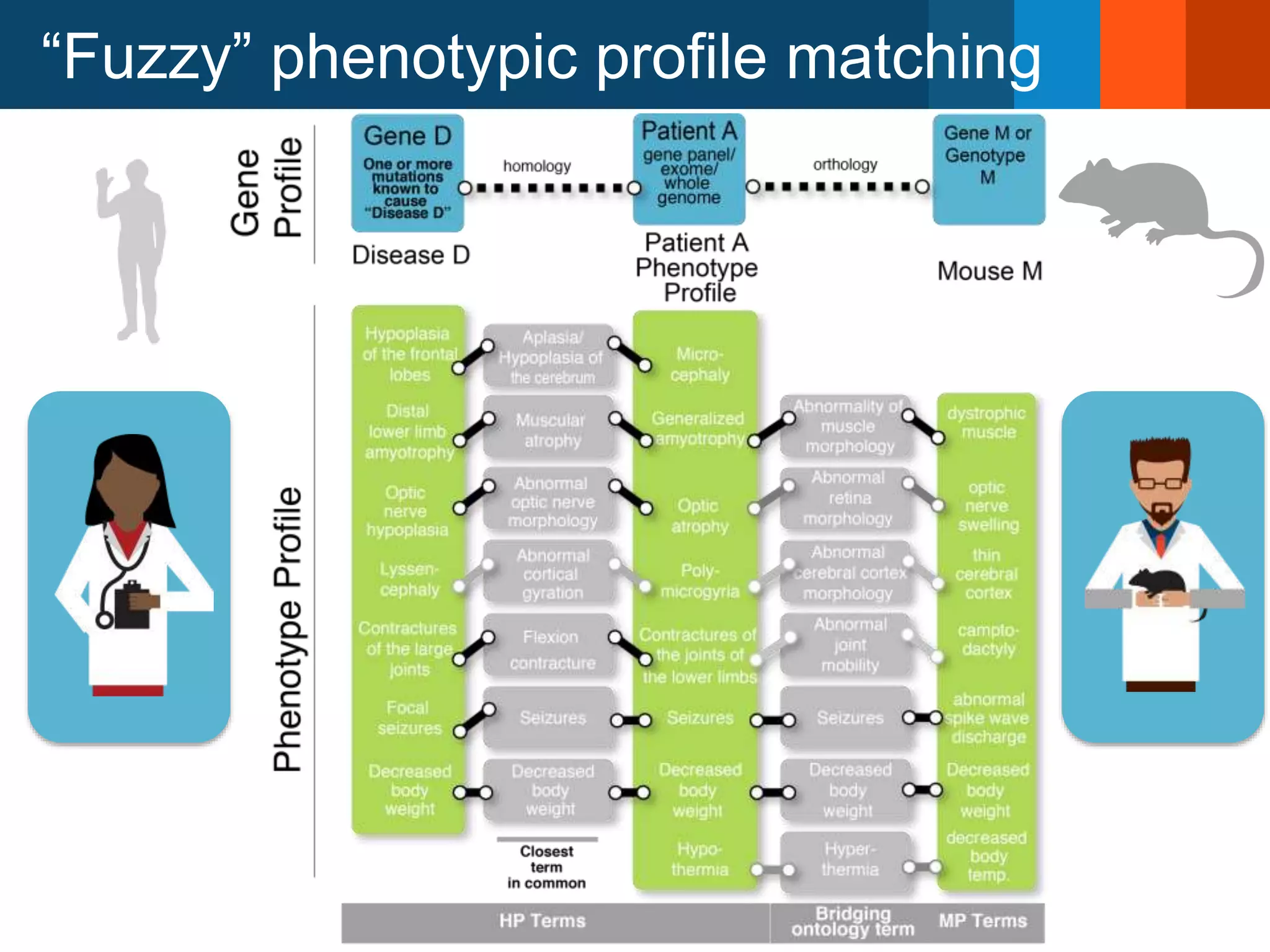 “Fuzzy” phenotypic profile matching
 