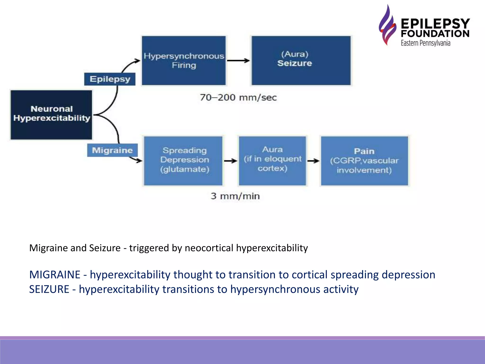 Migraine and Seizure - triggered by neocortical hyperexcitability
MIGRAINE - hyperexcitability thought to transition to cortical spreading depression
SEIZURE - hyperexcitability transitions to hypersynchronous activity
 
