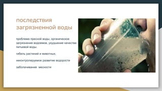 последствия
загрязненной воды
проблема пресной воды, органическое
загрязнение водоемов, ухудшение качества
питьевой воды.
гибель растений и животных.
неконтролируемое развитие водорости
заболачивание месности
 