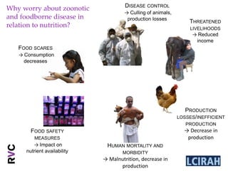 Integrating food safety and nutrition assessments in livestock and fish value chains