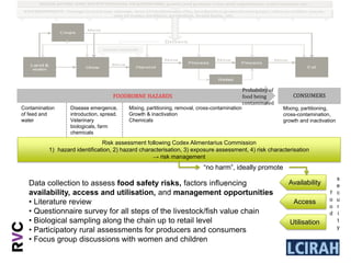 Integrating food safety and nutrition assessments in livestock and fish value chains
