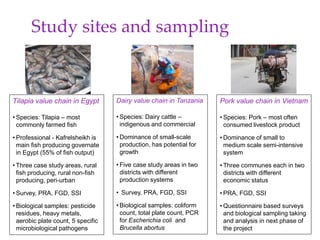 Integrating food safety and nutrition assessments in livestock and fish value chains