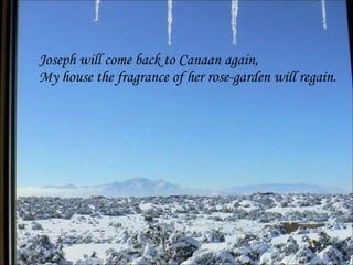 Joseph will come back to Canaan again,  My house the fragrance of her rose-garden will regain.  