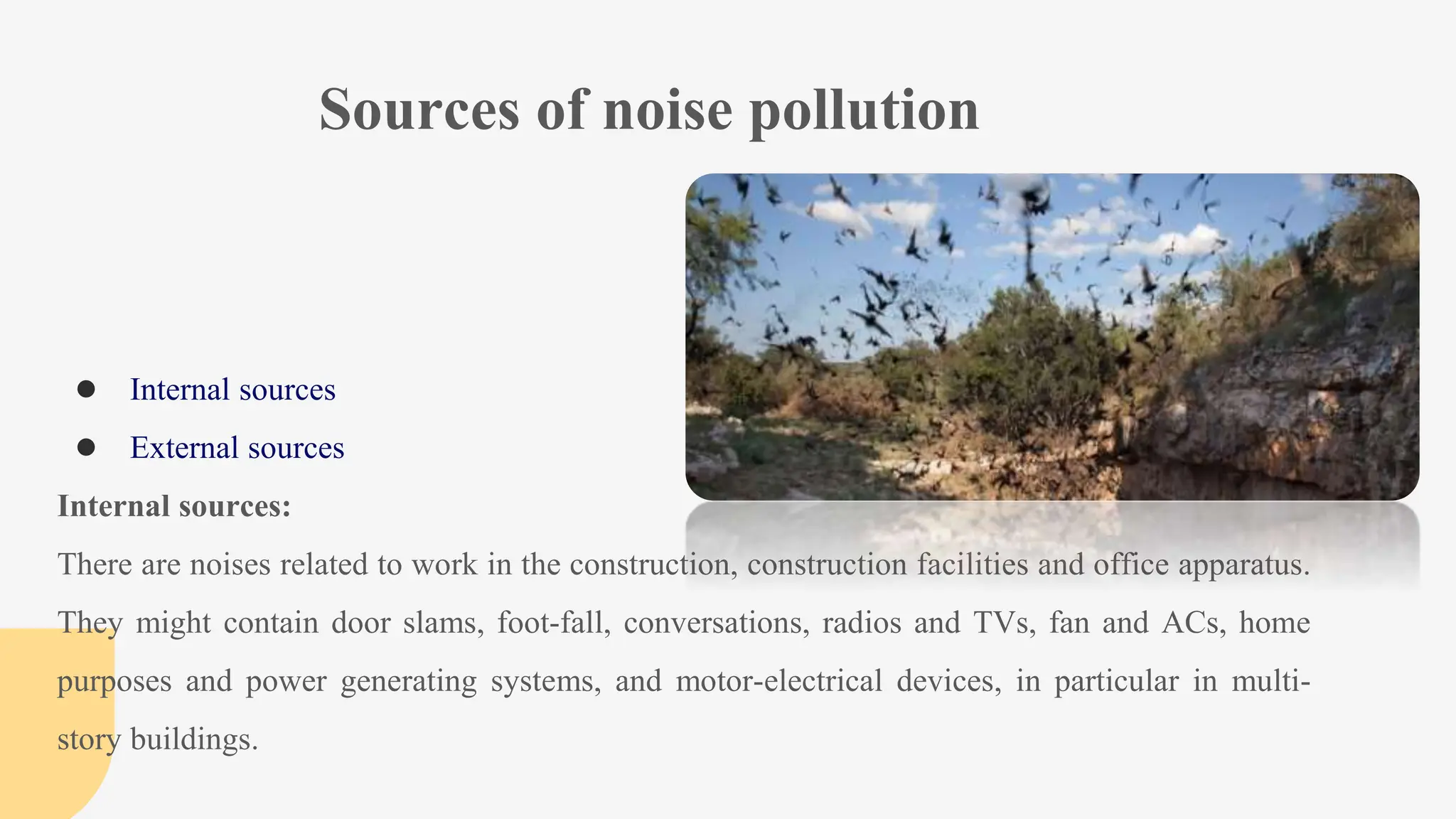 Effects of Noise Pollution on Wild Animals.pptx