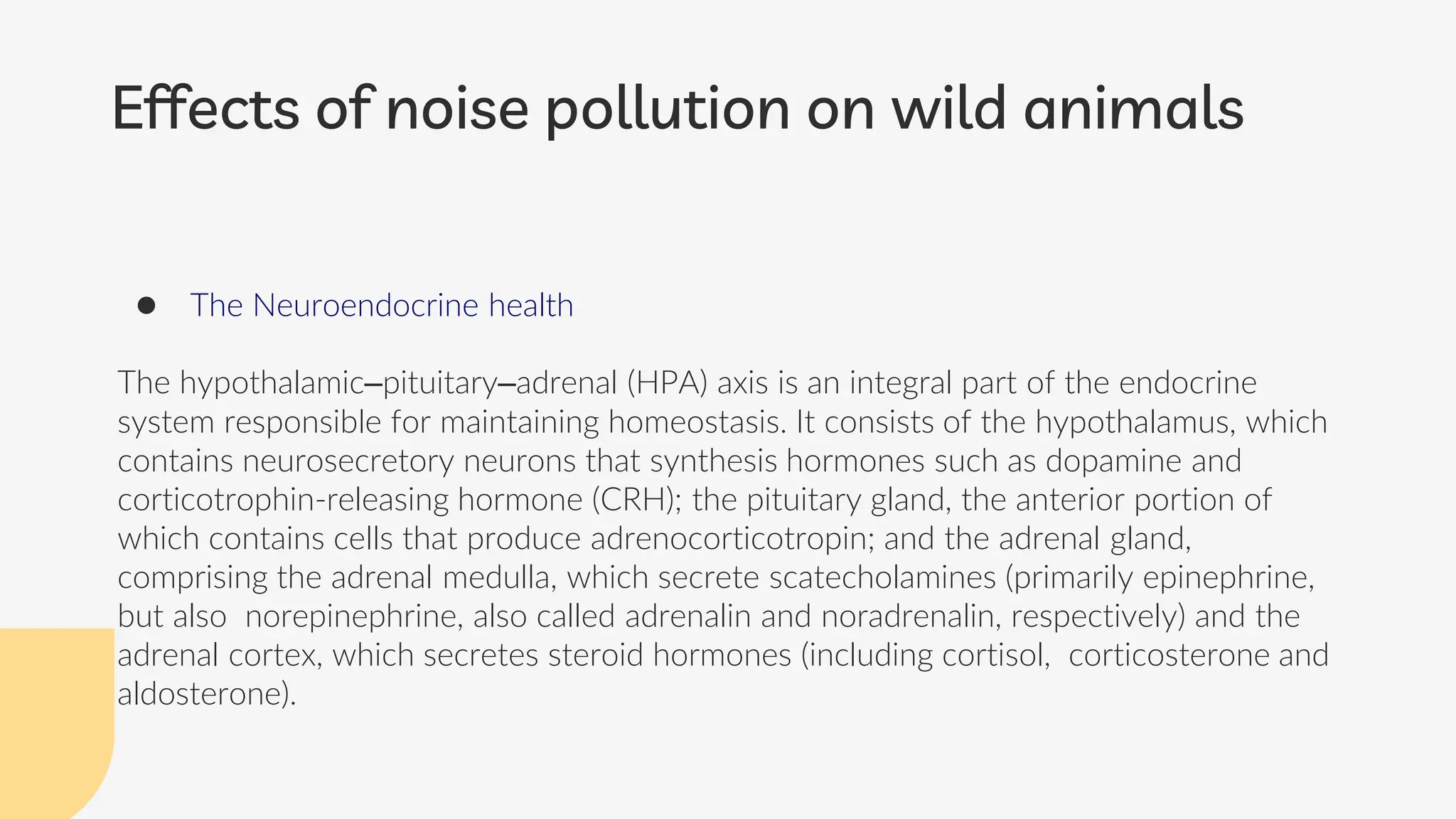 Effects of Noise Pollution on Wild Animals.pptx