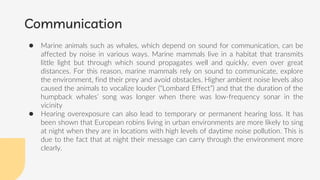Effects of Noise Pollution on Wild Animals.pptx