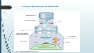 23
Scanning Electron Microscope (SEM) Equipment
 