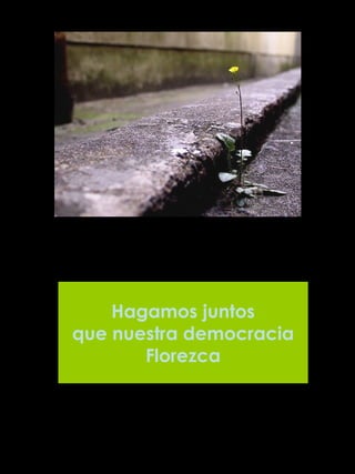 Hagamos juntos que nuestra democracia Florezca 