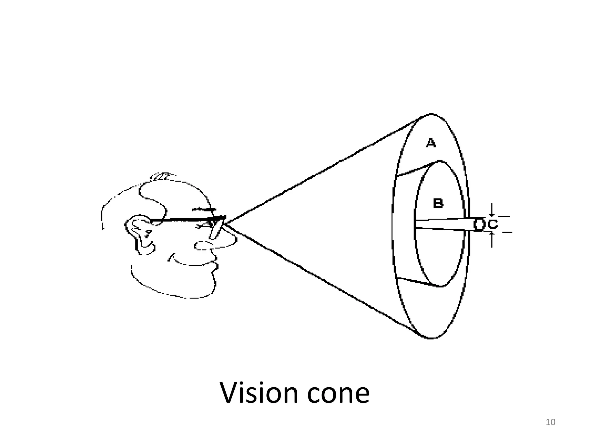 Vision cone
10
 