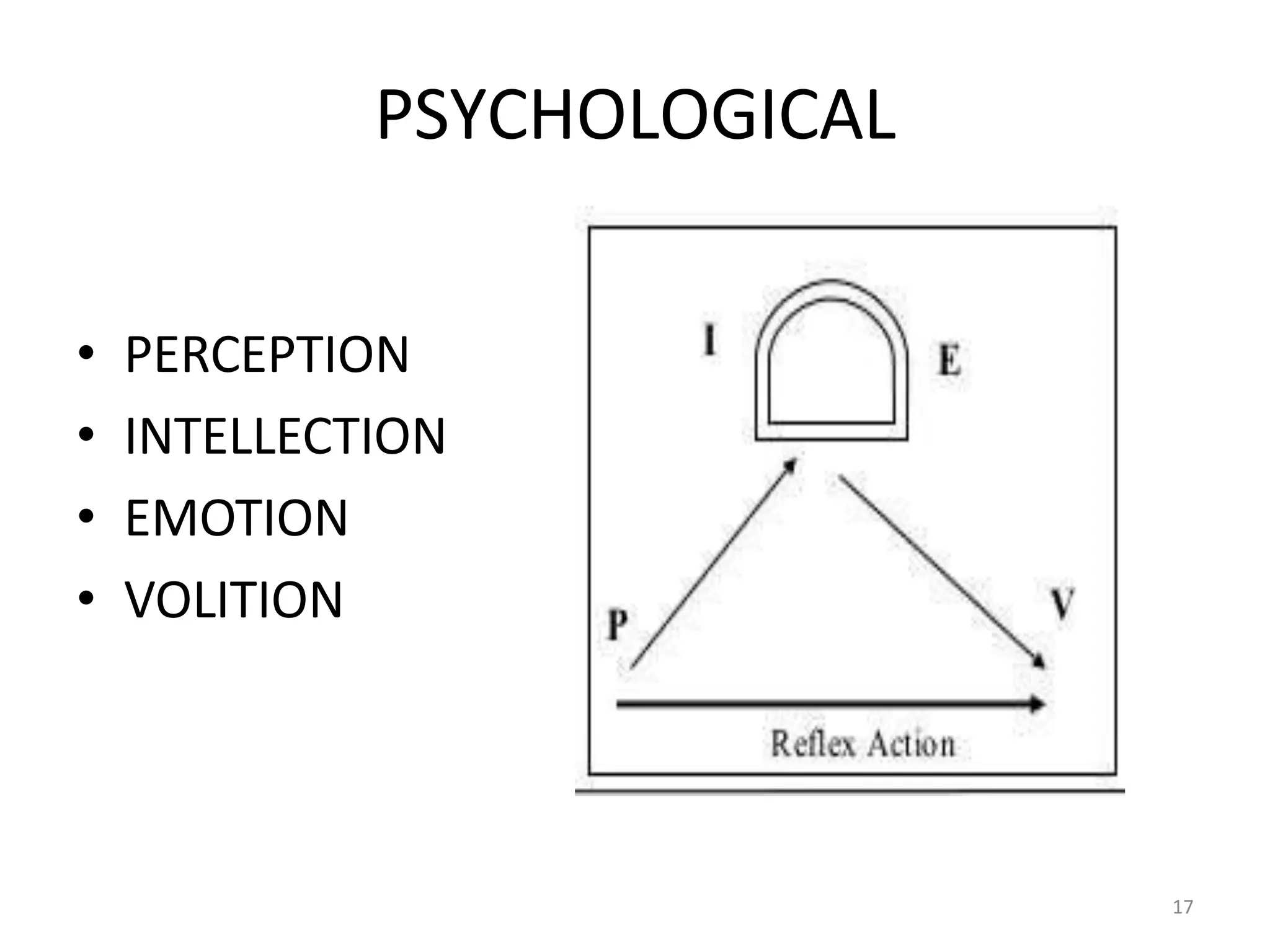 PSYCHOLOGICAL
• PERCEPTION
• INTELLECTION
• EMOTION
• VOLITION
17
 