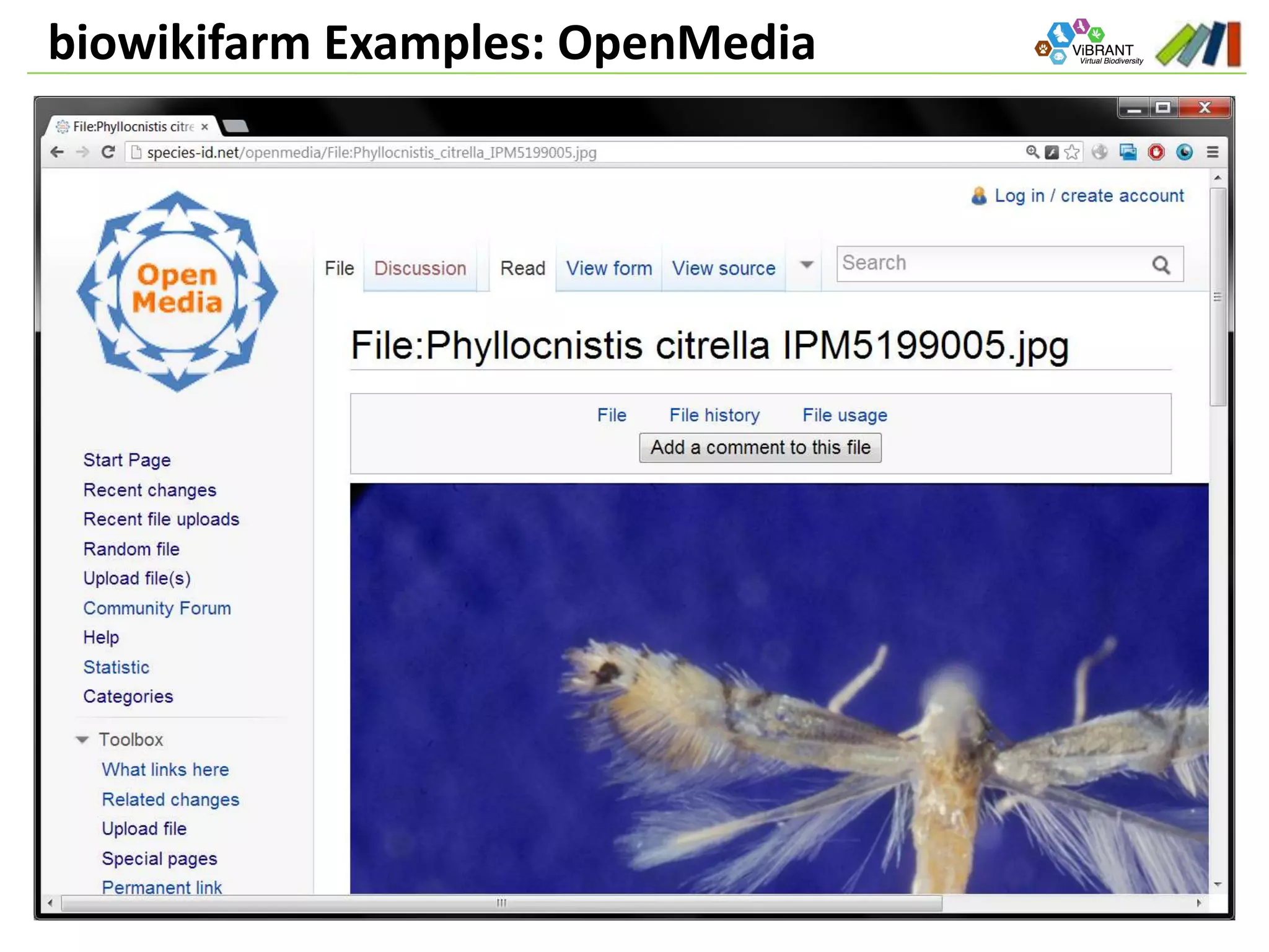 biowikifarm Examples: OpenMedia
 