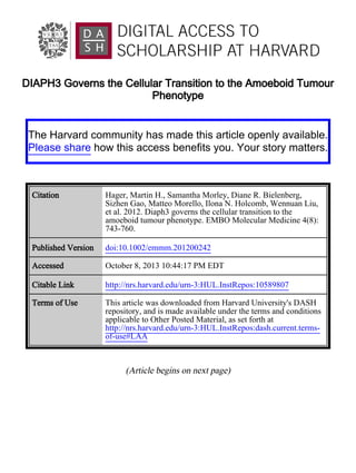 DIAPH3 Governs the Cellular Transition to the Amoeboid Tumour 
Phenotype 
The Harvard community has made this article openly available. 
Please share how this access benefits you. Your story matters. 
Citation Hager, Martin H., Samantha Morley, Diane R. Bielenberg, 
Sizhen Gao, Matteo Morello, Ilona N. Holcomb, Wennuan Liu, 
et al. 2012. Diaph3 governs the cellular transition to the 
amoeboid tumour phenotype. EMBO Molecular Medicine 4(8): 
743-760. 
Published Version doi:10.1002/emmm.201200242 
Accessed October 8, 2013 10:44:17 PM EDT 
Citable Link http://nrs.harvard.edu/urn-3:HUL.InstRepos:10589807 
Terms of Use This article was downloaded from Harvard University's DASH 
repository, and is made available under the terms and conditions 
applicable to Other Posted Material, as set forth at 
http://nrs.harvard.edu/urn-3:HUL.InstRepos:dash.current.terms-of- 
use#LAA 
(Article begins on next page) 
 
