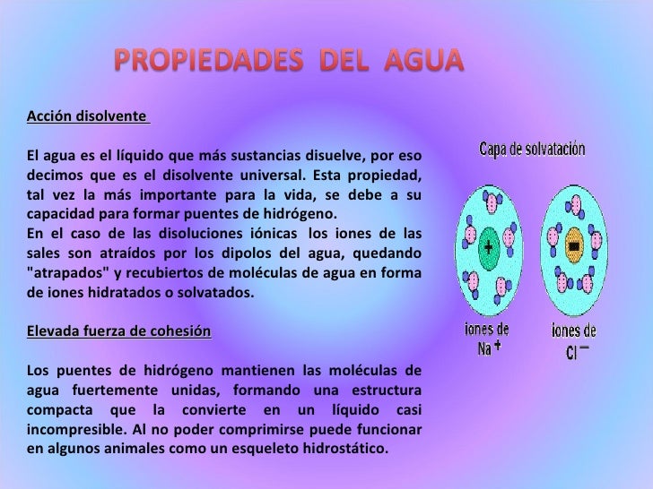 EL AGUA