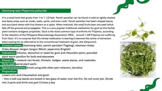 10 Halamang Gamot ng DOH | PPT