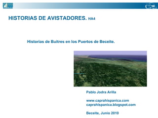 HISTORIAS DE AVISTADORES.  HA4  Historias de Buitres en los Puertos de Beceite. Pablo Jodra Arilla www.caprahispanica.com caprahispanica.blogspot.com Beceite, Junio 2010 