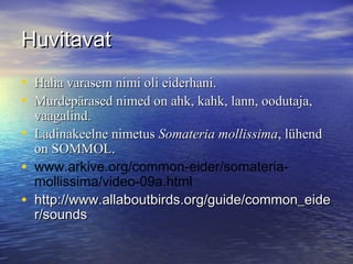 Huvitavat
• Haha varasem nimi oli eiderhani.
• Murdepärased nimed on ahk, kahk, lann, oodutaja,
•
•
•

vaagalind.
Ladinakeelne nimetus Somateria mollissima, lühend
on SOMMOL.
www.arkive.org/common-eider/somateriamollissima/video-09a.html
http://www.allaboutbirds.org/guide/common_eide
r/sounds

 