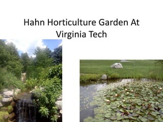Hahn Horticulture Garden At
      Virginia Tech
 