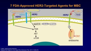 7 FDA-Approved HER2-Targeted Agents for MBC
T-DM1, trastuzumab emtansine.
Adapted from Gajria D, et al. Expert Rev Anticancer Ther. 2011;11:263-275.
T-DxD
neratinib
HER2
HER2 HER2
tucatinib
 