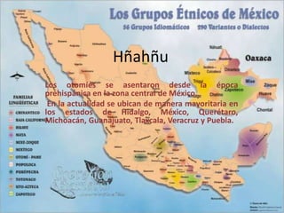 Hñahñu
Los otomíes se asentaron desde la época
prehispánica en la zona central de México.
 En la actualidad se ubican de manera mayoritaria en
los estados de Hidalgo, México, Querétaro,
Michoacán, Guanajuato, Tlaxcala, Veracruz y Puebla.
 
