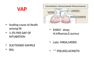 Vap Sample Hospital acquired infections are explained in this ppt , can be helpful ...