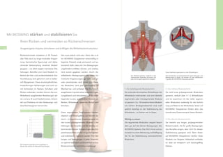 1


     Mit BIOSWING stärken und stabilisieren Sie                                                                                                    2


             Ihren Rücken und vermeiden so Rückenschmerzen

16           Ausgewogene Impulse stimulieren und kräftigen die Wirbelsäulenmuskulatur.                                                                                                                                                 17


             Rückenschmerzen entstehen in 95 Prozent                      Das muss jedoch nicht sein: Denn das in al-
                                                                                                                                      3
             aller Fälle durch zu lange muskuläre Anspan-                 len BIOSWING Sitzsystemen serienmäßig in-
             nung (isometrische Spannung) und daher                       tegrierte Sitzwerk sorgt permanent und au-
             rührende Verkrampfung einzelner Muskel-                      tomatisch dafür, dass sich Ihre Bewegungen
             gruppen – vor allem wegen monotoner Sitz-                    ungehindert entfalten können und vitalisie-
             haltungen. Betroffen sind meist Muskeln im                   rend zurück gegeben werden. Durch die                                                            Kurze Stabilisierungsmuskeln an den Wirbelkörpern:

             Bereich der Hals- und Lendenwirbelsäule. Ihre                reﬂektierten Bewegungsimpulse treten iso-               Die Rückenmuskulatur verläuft in drei    Ihre Koordination ist entscheidend für gute Haltungen und
                                                                                                                                  übereinander liegenden Schichten und     Bewegungen im Sitzen. Sie werden von den reﬂektierten
             Durchblutung wird gehemmt und es bilden                      metrische Anspannungen gar nicht erst auf               jede hat ihre ganz speziﬁsche Aufgabe    Impulsen des BIOSWING Sitzwerkes gestärkt.

             sich Myogelosen. Diese druckempﬁndlichen,                    oder verschwinden nach kurzer Zeit. Denn
             knotenförmigen Verhärtungen sind nicht nur                   die Muskulatur wird jetzt gleichmäßig im
             mit Schmerzen im Nacken, Schultern und                       Wechsel be- und entlastet. Die rhythmisch        1. Die tiefstliegende Muskelschicht:            2. Die mittlere Muskelschicht:
             Rücken verbunden, sondern können die vom                     ausgeloteten Impulse wirken besonders span-      Sie verbindet die einzelnen Wirbelkörper der    Sie wird kurze polysegmentale Muskulatur
             Wirbelkanal ausgehenden Reizleitungen stö-                   nungslösend und stimulierend auf die tiefst-     Wirbelsäule miteinander und wird deshalb        genannt, verläuft über 4 - 6 Wirbelkörper
             ren und so z. B. auch Kopfschmerzen, Schwin-                 liegenden kurzen, gelenknahen Muskeln an         segmentale oder intersegmentale Muskula-        und ist zusammen mit der tiefen segmen-
             del und Probleme mit den Verdauungs- und                     Becken, Wirbelsäule, gesamten Rumpf und          tur genannt. Ca. 150 einzelne kleine Muskeln    talen Muskulatur zuständig für die Aufrich-
             Geschlechtsorganen hervorrufen.                              Schultern.                                       mit hohem Bindegewebsanteil sind maß-           tung und Balance der Wirbelsäule. Sitzen auf
                                                                                                                           geblich beteiligt an der Stabilisierung der     BIOSWING Sitzsystemen fördert aktiv das
              Entspannungsindex
                                                                          Diese segmentalen Stabilisatoren bleiben         Wirbelsäule – im Stehen wie im Sitzen.          koordinierte Zusammenspiel dieser Muskeln.
                                                           Mit BIOSWING
                                                                          elastisch und leistungsfähig und können da-
                                                                          durch – im koordinierten Zusammenspiel mit       Wichtig zu wissen:                              3. Die oberste Muskelschicht:
                                                                          den kurzen polysegmentalen Muskeln – die         Die segmentale Muskulatur reagiert beson-       Sie besteht aus langen polysegmentalen
                       Prozentrangnormen




                                                                          Haltungen des Rumpfes und die ständig vor-       ders gut auf die kleinen Bewegungen des         Rückenmuskeln, die für große Bewegungen
                                                                          kommenden kleinen Verlagerungen des Kör-         BIOSWING-Systems. Das führt immer und au-       des Rumpfes sorgen, aber nicht für dessen
                                           Ohne BIOSWING                  perschwerpunktes um das Lot gut korrigieren      tomatisch zu einer Aktivierung und Kräftigung   Stabilisierung geeignet sind. Beim Sitzen
                                                                          und stabilisieren. Dadurch werden Ihre Hal-      der für die Stabilisierung verantwortlichen     auf BIOSWING Sitzsystemen werden diese
                                                                          tungen und Bewegungen in jeder Sitzpositi-       Muskulatur.                                     Muskeln von längerer Haltearbeit entlastet,
                                                                          on optimal stabilisiert und koordiniert und so                                                   so dass sie entspannt und leistungsfähig
             Der Entspannungsindex nimmt signiﬁkant zu
             (Studie des Instituts für Rationelle Psychologie)            Rückenschmerzen nachhaltig vorgebeugt.                                                           bleiben.
 