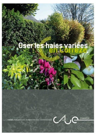 Oser les haies variées en Corrèze