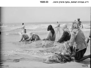 15378 דייג בעזרת רשתות ,  בחוף מיפרץ חיפה .  1920-33 