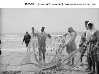 15379 פעם היו דגים באזור מיפרץ חיפה  ( היום אפשר לדוג שפכים ).  1920-33 