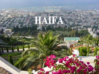HAIFA 