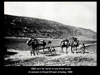 אורחת גמלים בקריית אליעזר של היום , 1900 A caravan in Kiryat Eli’ezer of today, 1900 