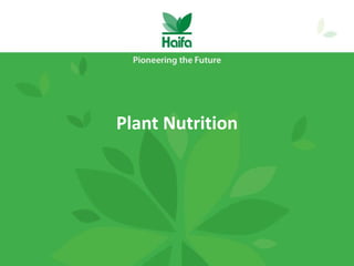 Plant Nutrition
 