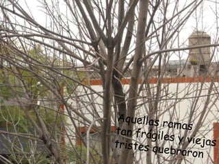 Aquellas ramastan frágiles y viejastristes quebraron 