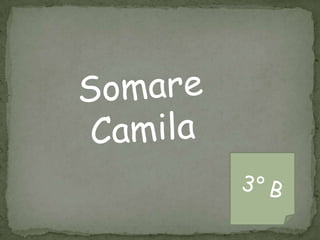 Somare Camila   3° B 