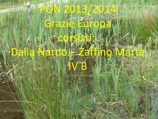 PON 2013/2014
Grazie Europa
corsisti:
Dalia Nardo – Zaffino Marta
IV B
 