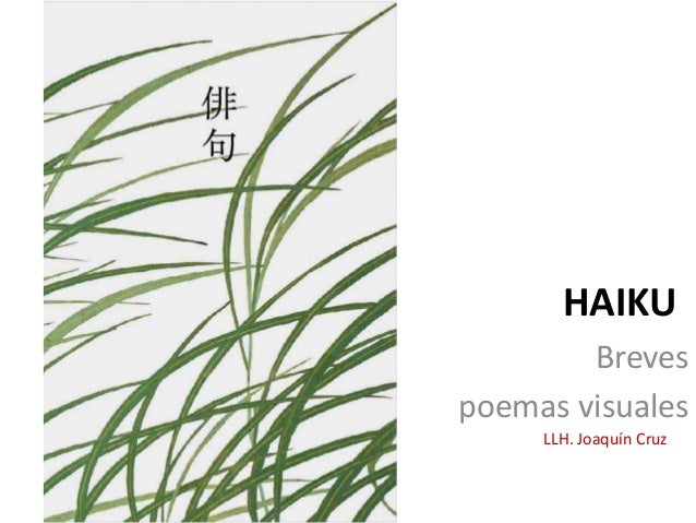 HAIKU
Breves
poemas visuales
LLH. Joaqu�n Cruz
 