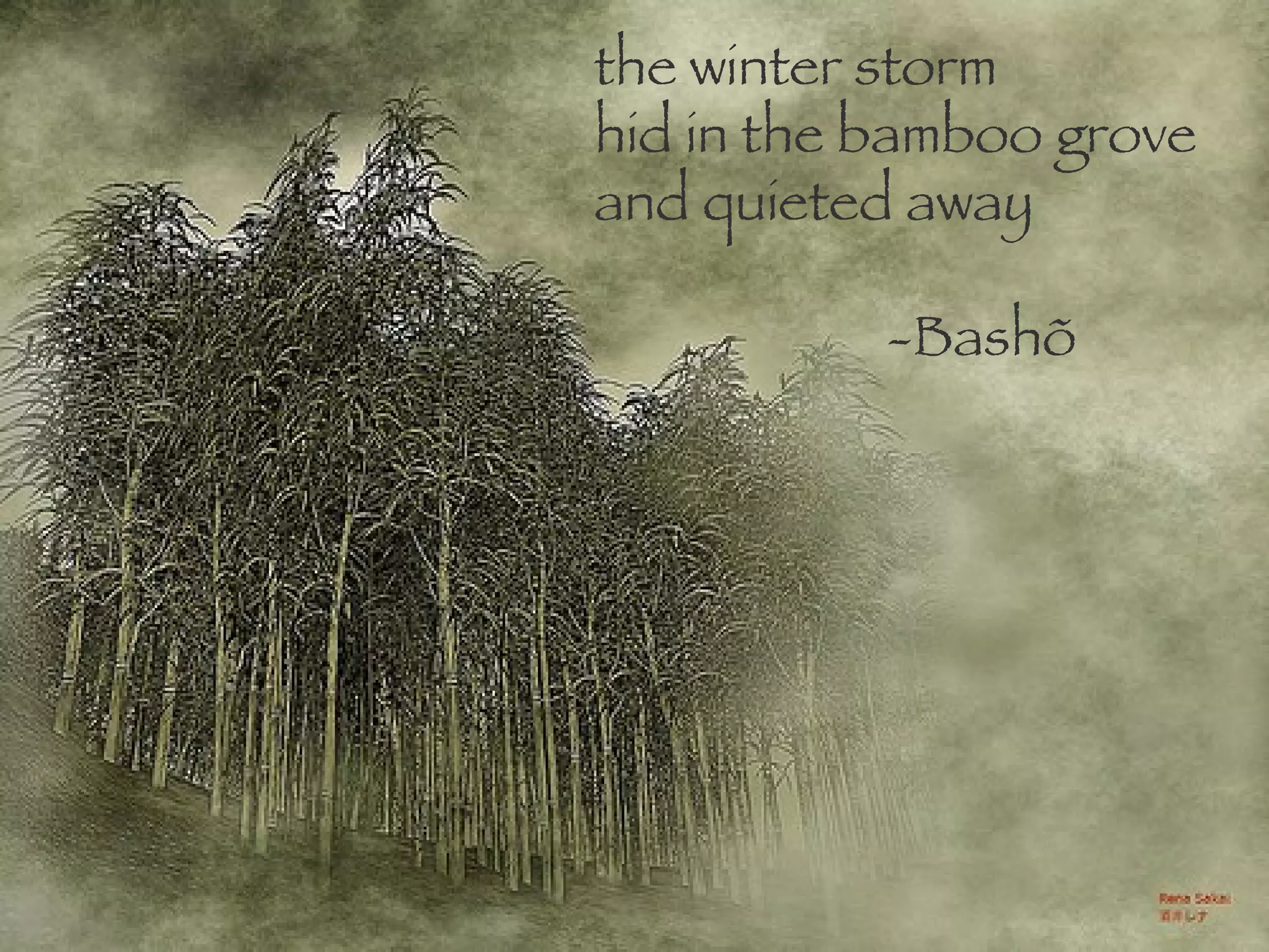 the winter storm hid in the bamboo grove and quieted away -Bashõ 