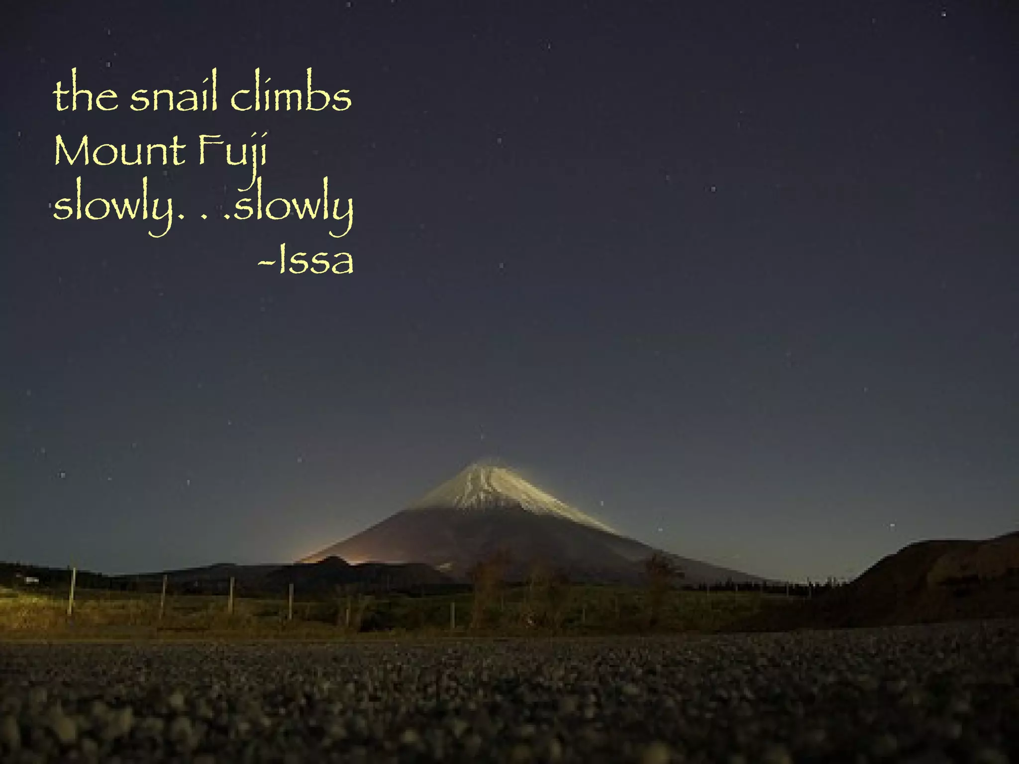 the snail climbs Mount Fuji slowly. . .slowly -Issa 