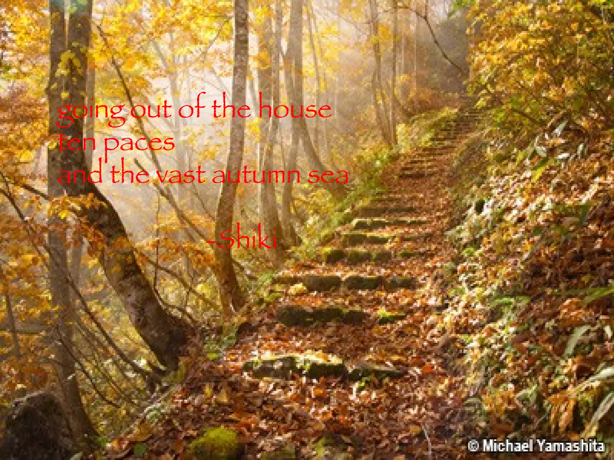 going out of the house  ten paces and the vast autumn sea -Shiki 