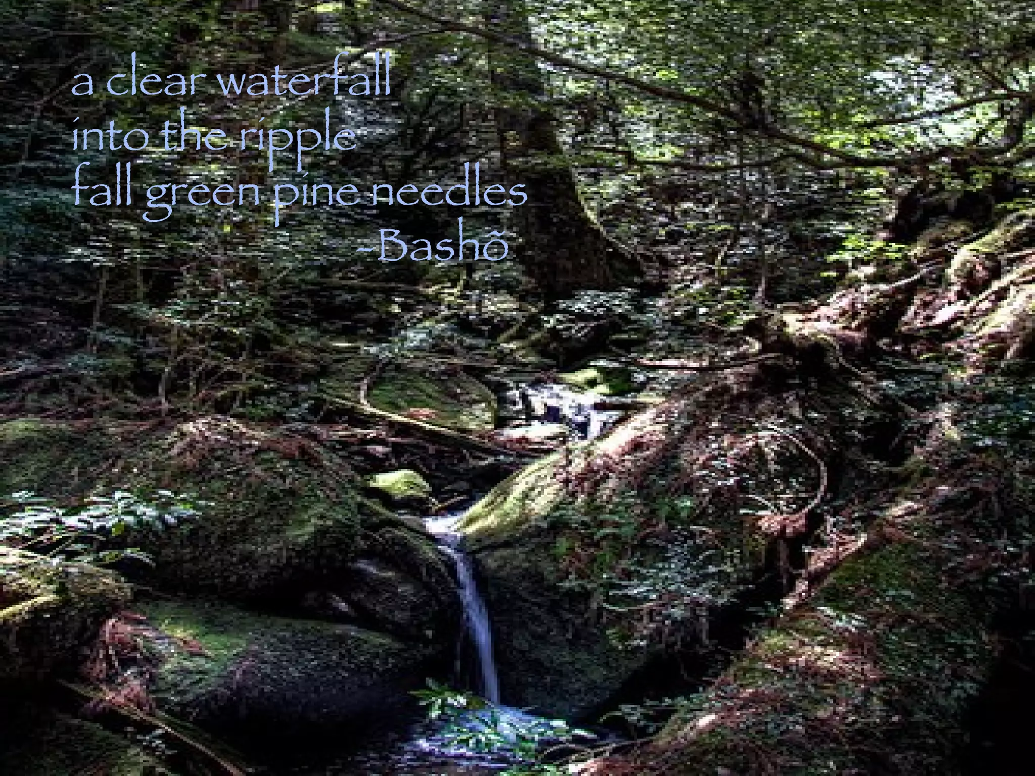 a clear waterfall into the ripple  fall green pine needles -Bashõ 