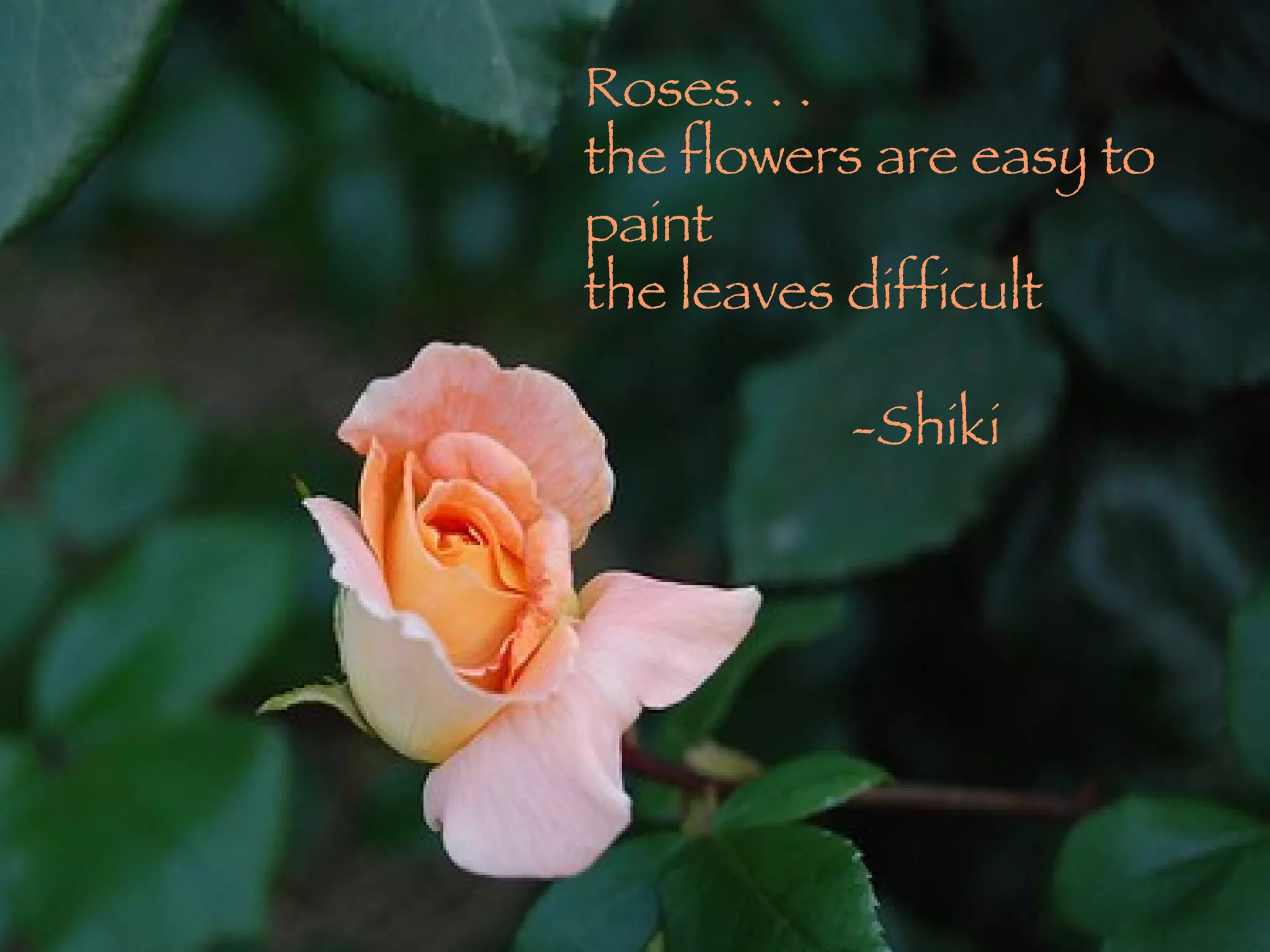 Roses. . . the flowers are easy to paint the leaves difficult -Shiki 