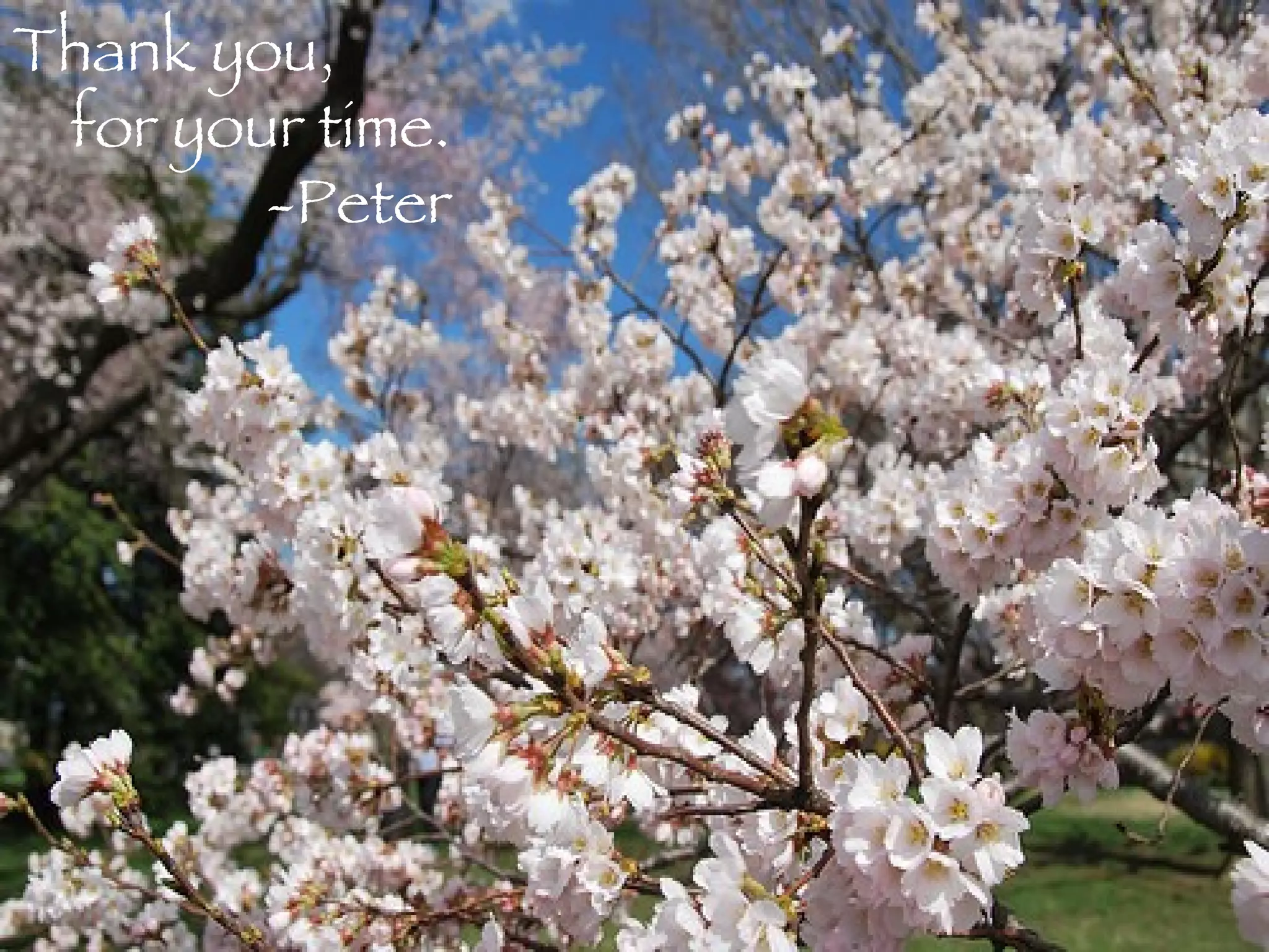 Thank you, for your time. -Peter 