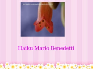   
Haiku Mario Benedetti
          
          
 