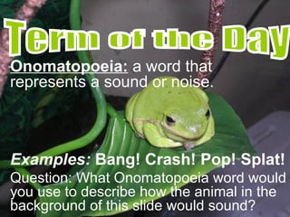 Onomatopoeia: a word that
represents a sound or noise.
Examples: Bang! Crash! Pop! Splat!
Question: What Onomatopoeia word would
you use to describe how the animal in the
background of this slide would sound?
 