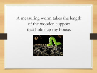 A measuring worm takes the length
of the wooden support
that holds up my house.
 