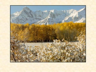 Haiku poetry tutorial