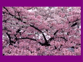 Está el árbol en flor,Está el árbol en flor,
y la noche le quita, cada día,y la noche le quita, cada día,
la mitad de las flores.la mitad de las flores.
Juan Ramón JiménezJuan Ramón Jiménez
 